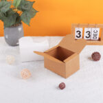 store_01JQ9NMV9N3T3VPP689Z1AWYED_assets_1750231795332-image